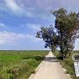 Hier geht es zum Strand von Murtas. Bei Übungen ist es srickt verboten ab hier weiter zu Wandern.<br />Hängt das Schild gerade, ist jeglicher Aufenthalt und eine Strandbenutzung links und rechts verboten!<br />Anordnung: Das Sonder-Kommando vom P.I.S.Q.